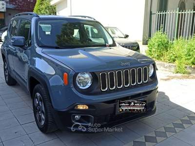 Jeep Renegade 1.6 Mjt 105CV Business Grigio usata Castrovillari