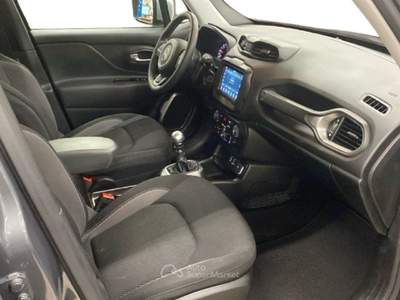 Jeep Renegade 1.6 Mjt 120 CV Limited Grigio usata Caresanablot