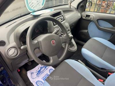 Fiat Panda 1.2 4x4 Blu/Azzurro usata CURTI