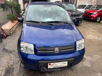 Fiat Panda 1.2 4x4 Blu/Azzurro usata CURTI