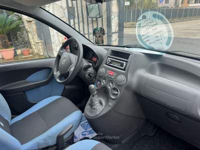 Fiat Panda 1.2 4x4 Blu/Azzurro usata CURTI
