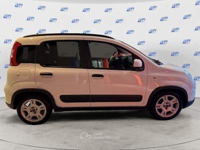 Fiat Panda 1.0 firefly hybrid City Life s&s 70cv 5p.ti Bianco usata Pistoia