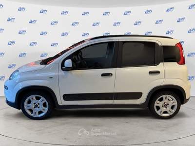 Fiat Panda 1.0 firefly hybrid City Life s&s 70cv 5p.ti Bianco usata Pistoia