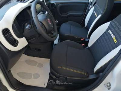 Fiat Panda Pandina 1.0 FireFly 65 CV Hybrid Cross 5 Posti Bianco usata VEDELAGO