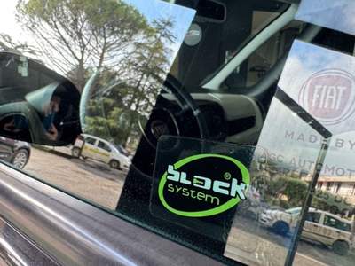 Fiat 500L Trekking Grigio usata San Giustino