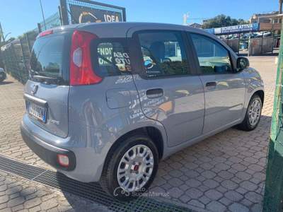 Fiat Panda 1.0 firefly hybrid PROMO FINANZIAMENTO Grigio usata Roma