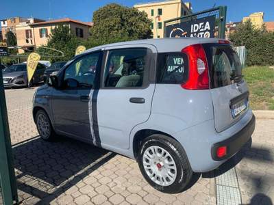 Fiat Panda 1.0 firefly hybrid PROMO FINANZIAMENTO Grigio usata Roma