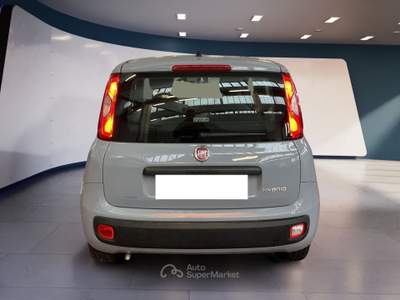 Fiat Panda III 2021 1.0 firefly hybrid s&s 70cv Grigio usata Torino