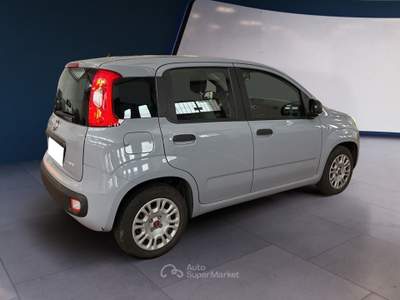 Fiat Panda III 2021 1.0 firefly hybrid s&s 70cv Grigio usata Torino