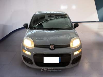 Fiat Panda III 2021 1.0 firefly hybrid s&s 70cv Grigio usata Torino