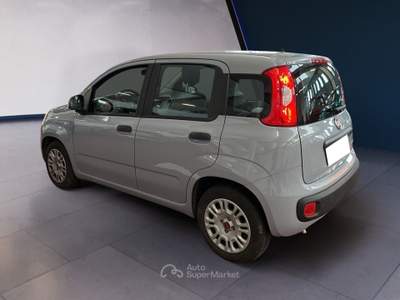Fiat Panda III 2021 1.0 firefly hybrid s&s 70cv Grigio usata Torino