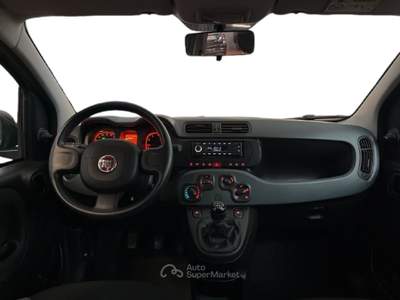 Fiat Panda III 2021 1.0 firefly hybrid s&s 70cv Grigio usata Torino