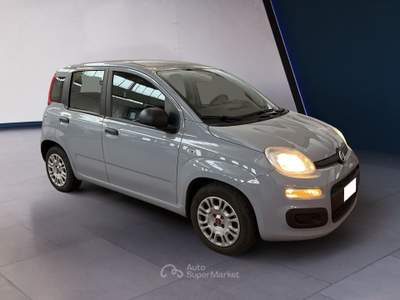 Fiat Panda III 2021 1.0 firefly hybrid s&s 70cv Grigio usata Torino