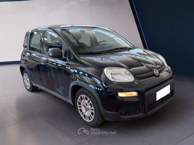 Fiat Panda III 2021 1.0 firefly hybrid s&s 70cv Nero usata Torino