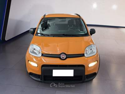 Fiat Panda III 2021 1.0 firefly hybrid City Life s&s 70cv Bianco usata Torino