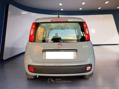 Fiat Panda III 2021 1.0 firefly hybrid s&s 70cv 5p.ti Grigio usata Torino