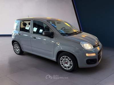 Fiat Panda III 2021 1.0 firefly hybrid s&s 70cv 5p.ti Grigio usata Torino