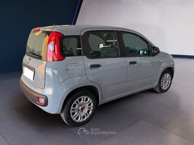 Fiat Panda III 2021 1.0 firefly hybrid s&s 70cv 5p.ti Grigio usata Torino