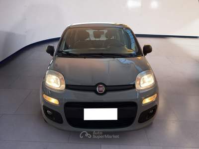 Fiat Panda III 2021 1.0 firefly hybrid s&s 70cv 5p.ti Grigio usata Torino