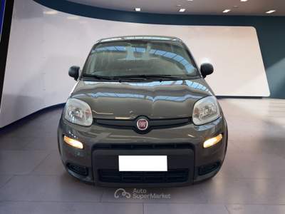 Fiat Panda III 2021 1.0 firefly hybrid s&s 70cv 5p.ti Grigio usata Torino