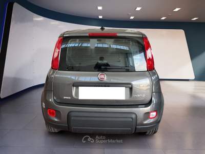 Fiat Panda III 2021 1.0 firefly hybrid s&s 70cv 5p.ti Grigio usata Torino