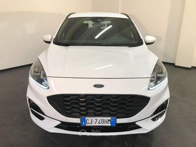 Ford Kuga 1.5 TDCI 120 CV S&S 2WD P. ST-Line Bianco usata Casalserugo