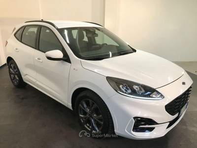 Ford Kuga 1.5 TDCI 120 CV S&S 2WD P. ST-Line Bianco usata Casalserugo