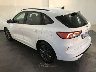 Ford Kuga 1.5 TDCI 120 CV S&S 2WD P. ST-Line Bianco usata Casalserugo