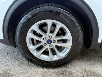 Ford Kuga Kuga 1.5 EcoBlue 120 CV aut. 2WD Tit.Bus Bianco usata Mesagne