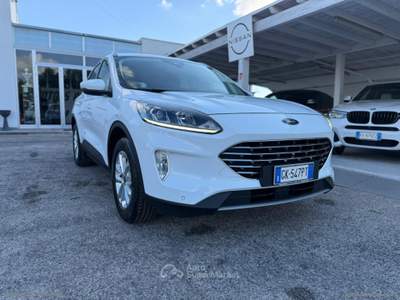 Ford Kuga Kuga 1.5 EcoBlue 120 CV aut. 2WD Tit.Bus Bianco usata Mesagne