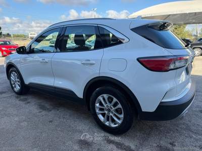 Ford Kuga Kuga 1.5 EcoBlue 120 CV aut. 2WD Tit.Bus Bianco usata Mesagne