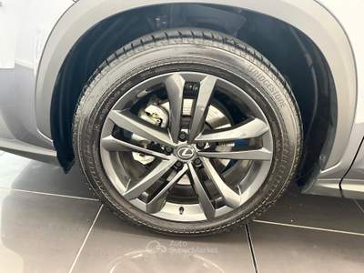 Lexus NX NX 450h+ 2.5 phev Premium+ 4wd e-cvt Grigio usata Cuneo