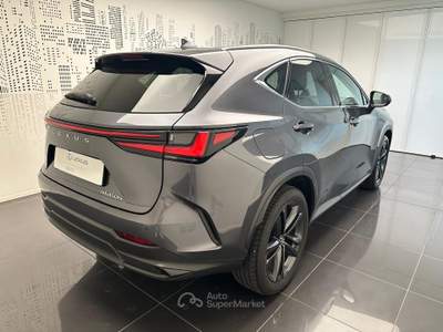 Lexus NX NX 450h+ 2.5 phev Premium+ 4wd e-cvt Grigio usata Cuneo