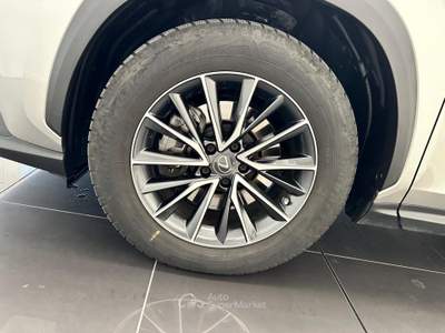 Lexus NX NX 450h+ 2.5 phev Premium 4wd e-cvt Grigio usata Cuneo
