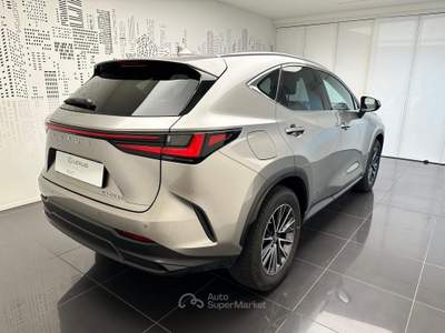 Lexus NX NX 450h+ 2.5 phev Premium 4wd e-cvt Grigio usata Cuneo