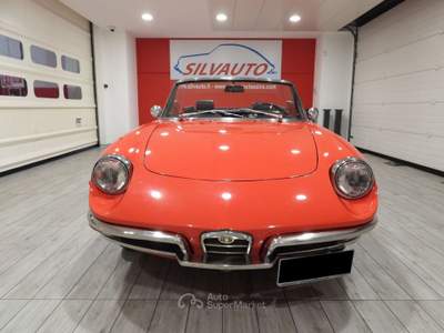 Alfa Romeo Spider 1750 VELOCE TIPO 105.62 - ASI CRS- TARGA ORO(1969) Rosso usata Grumello del Monte