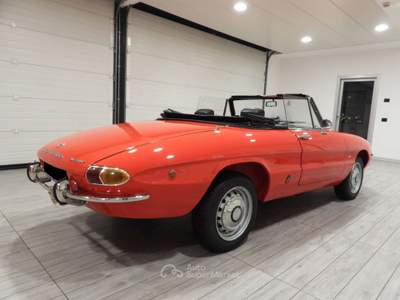 Alfa Romeo Spider 1750 VELOCE TIPO 105.62 - ASI CRS- TARGA ORO(1969) Rosso usata Grumello del Monte