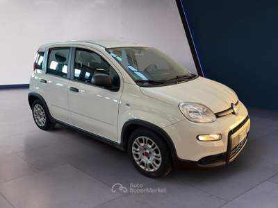 Fiat Panda III 2021 1.0 firefly hybrid s&s 70cv Bianco usata Torino