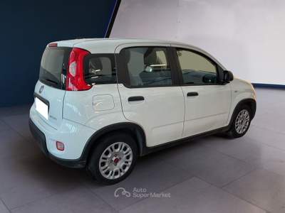 Fiat Panda III 2021 1.0 firefly hybrid s&s 70cv Bianco usata Torino
