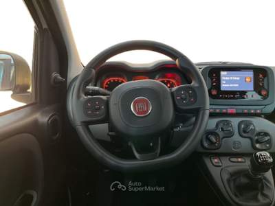 Fiat Panda III 2021 1.0 firefly hybrid s&s 70cv Bianco usata Torino