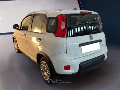 Fiat Panda III 2021 1.0 firefly hybrid s&s 70cv Bianco usata Torino