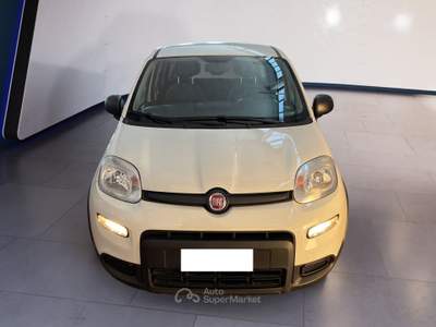 Fiat Panda III 2021 1.0 firefly hybrid s&s 70cv Bianco usata Torino