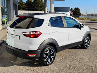 Ford EcoSport Active Bianco usata Pordenone