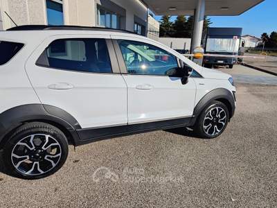 Ford EcoSport Active Bianco usata Pordenone