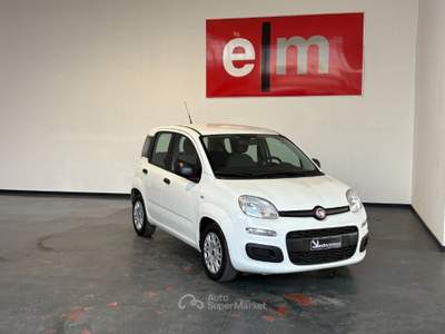 Fiat Panda 1.0 HYBRID Bianco usata Follonica