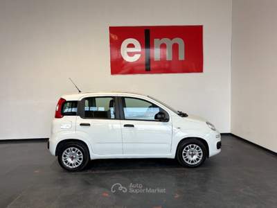 Fiat Panda 1.0 HYBRID Bianco usata Follonica