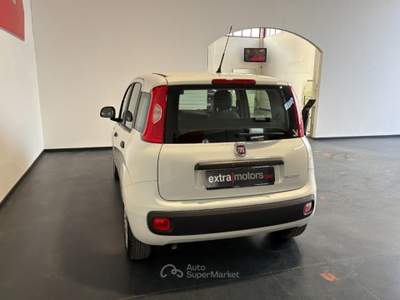 Fiat Panda 1.0 HYBRID Bianco usata Follonica