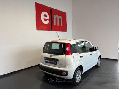 Fiat Panda 1.0 HYBRID Bianco usata Follonica