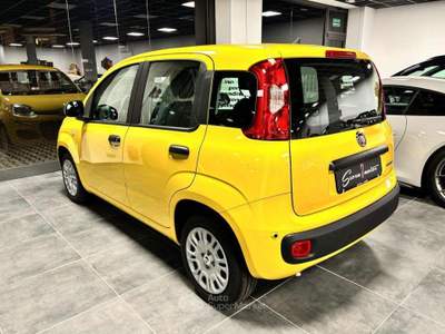 Fiat Panda 1.0 FireFly S&S Hybrid Pop - KM 0 - PREZZO PROMO Giallo usata Busto Arsizio