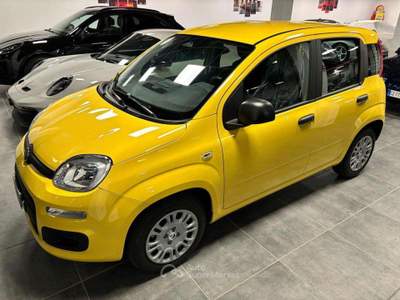 Fiat Panda 1.0 FireFly S&S Hybrid Pop - KM 0 - PREZZO PROMO Giallo usata Busto Arsizio